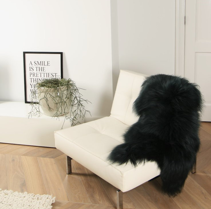 Mercer41 Icelandic Sheep Bottle Green Rug & Reviews Wayfair.co.uk